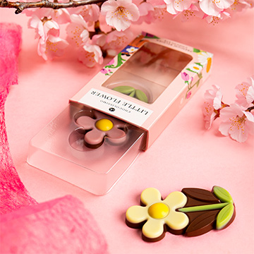 Schokoladen-Gänseblümchen und -Tulpen in den Händen
