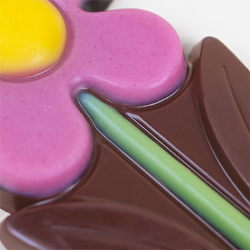 Gänseblümchen aus belgischer Schokolade